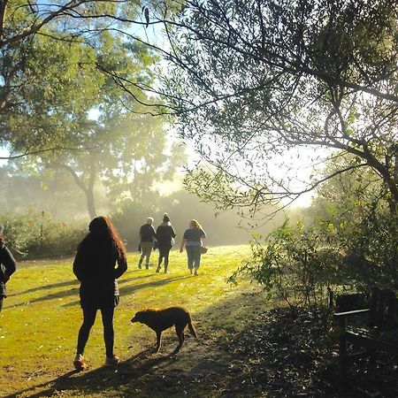 Kurrajong Trails & Cottages Wheeny Creek Exteriér fotografie