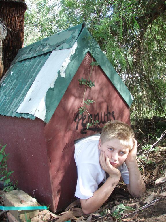 Kurrajong Trails & Cottages Wheeny Creek Exteriér fotografie