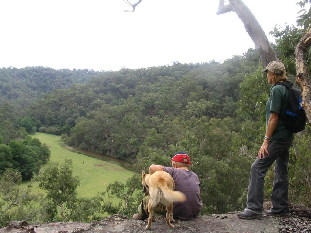 Kurrajong Trails & Cottages Wheeny Creek Exteriér fotografie