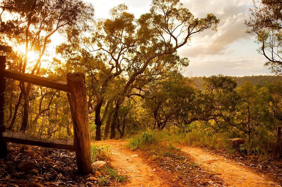 Kurrajong Trails & Cottages Wheeny Creek Exteriér fotografie