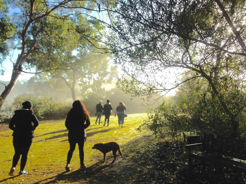 Kurrajong Trails & Cottages Wheeny Creek Exteriér fotografie