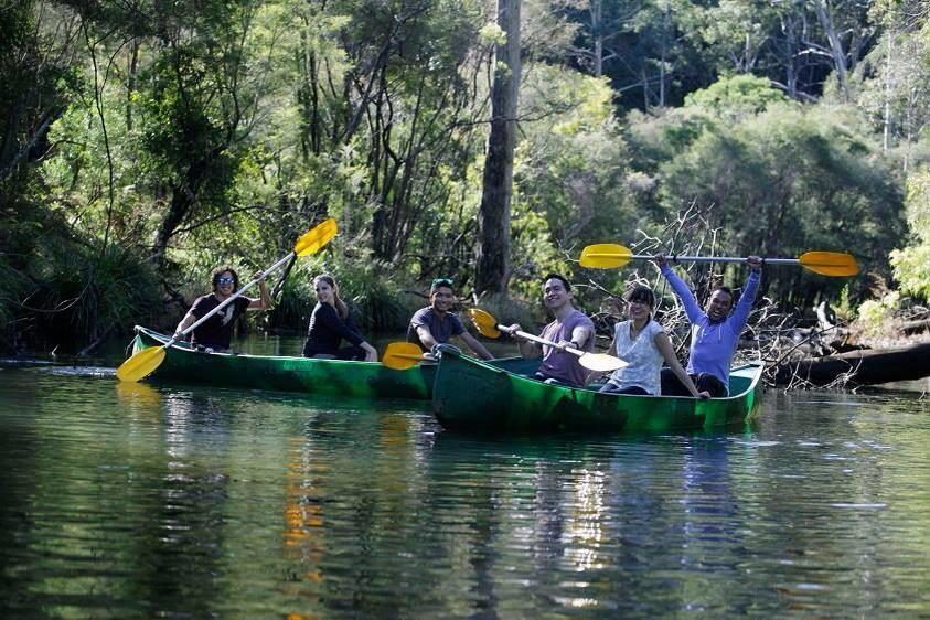 Kurrajong Trails & Cottages Wheeny Creek Exteriér fotografie