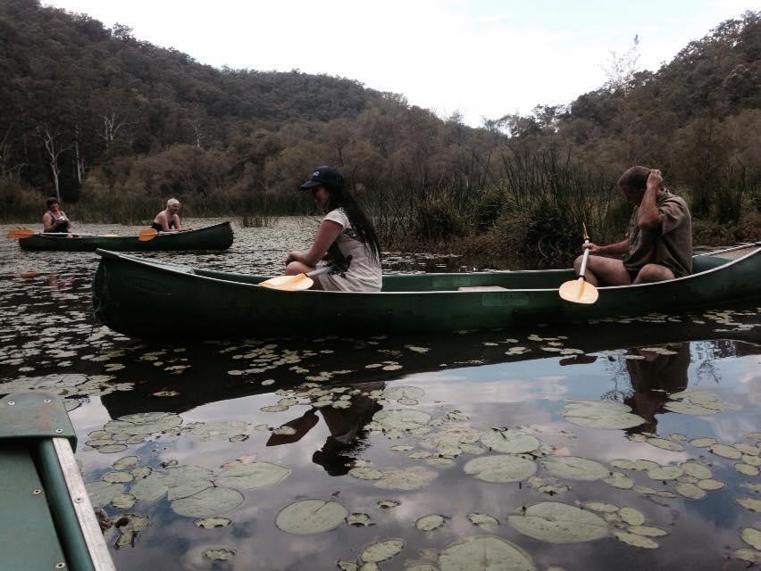 Kurrajong Trails & Cottages Wheeny Creek Exteriér fotografie