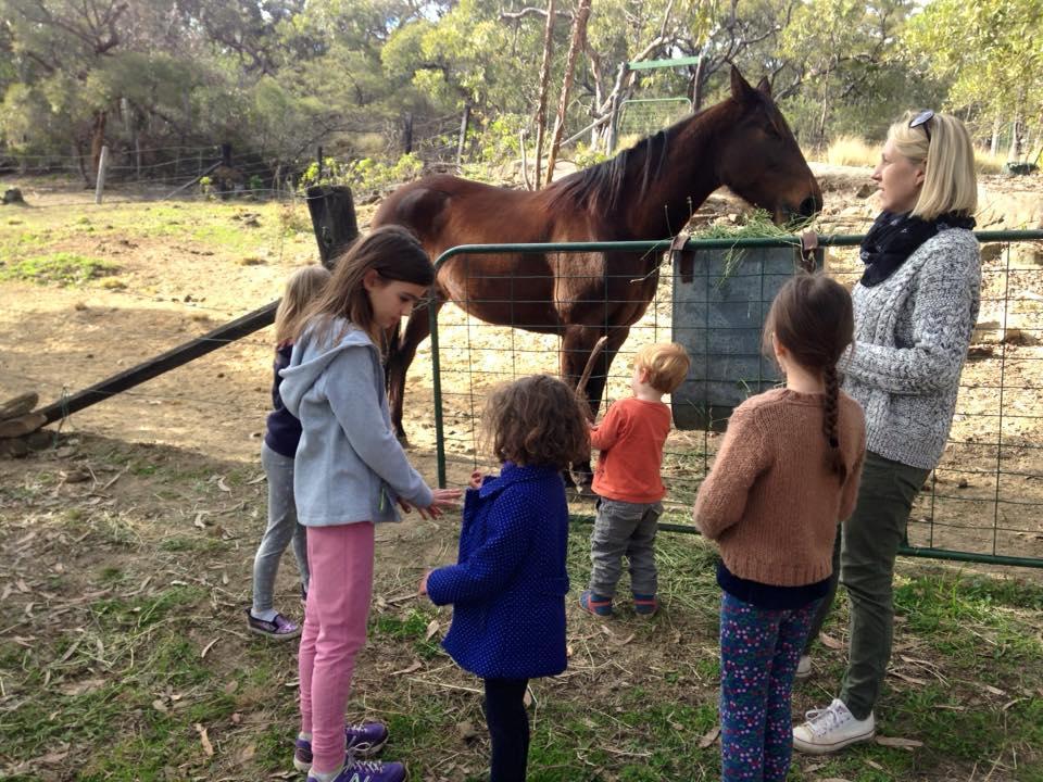 Kurrajong Trails & Cottages Wheeny Creek Exteriér fotografie