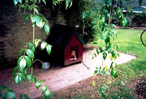 Kurrajong Trails & Cottages Wheeny Creek Exteriér fotografie